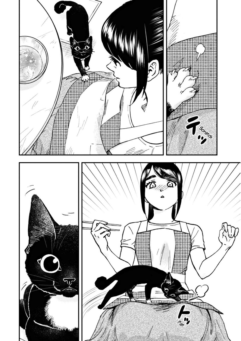 Hosomura San To Neko No Otsumami 6 20