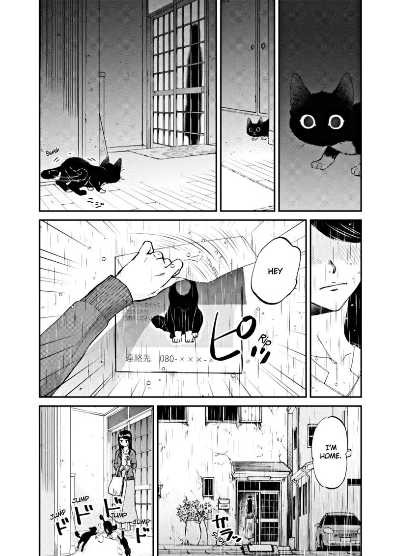 Hosomura San To Neko No Otsumami 7 11