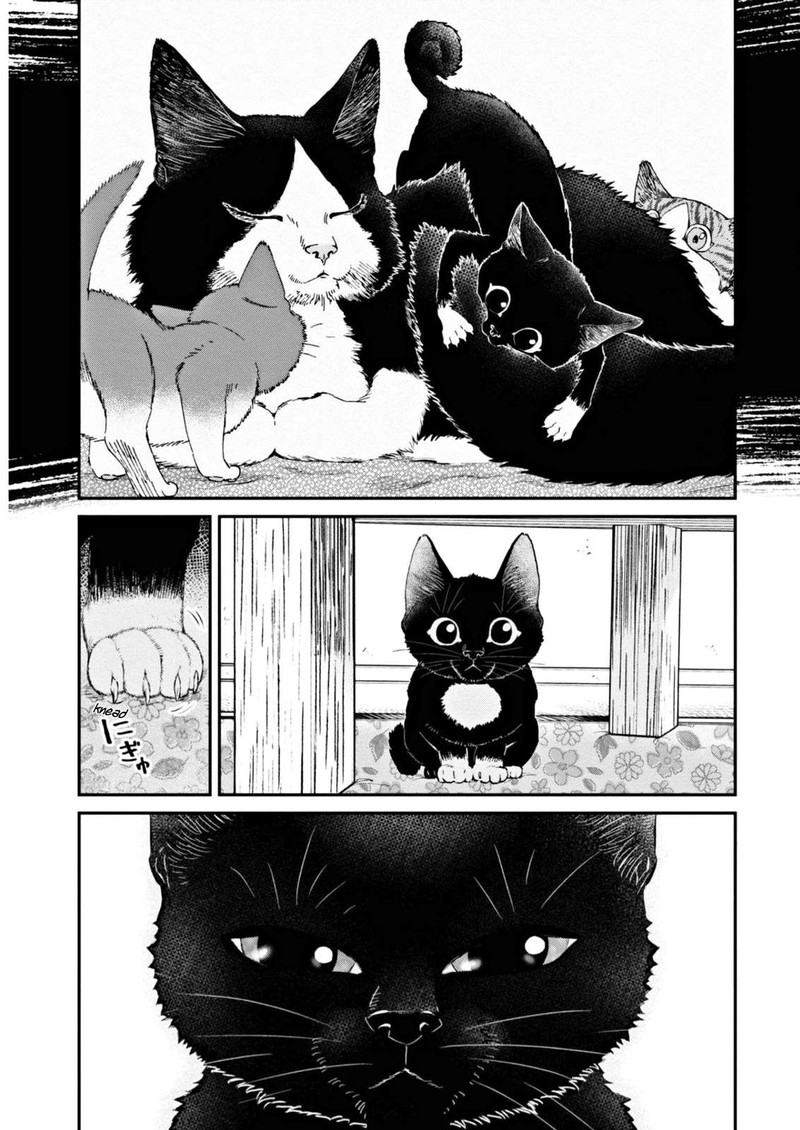 Hosomura San To Neko No Otsumami 7 13