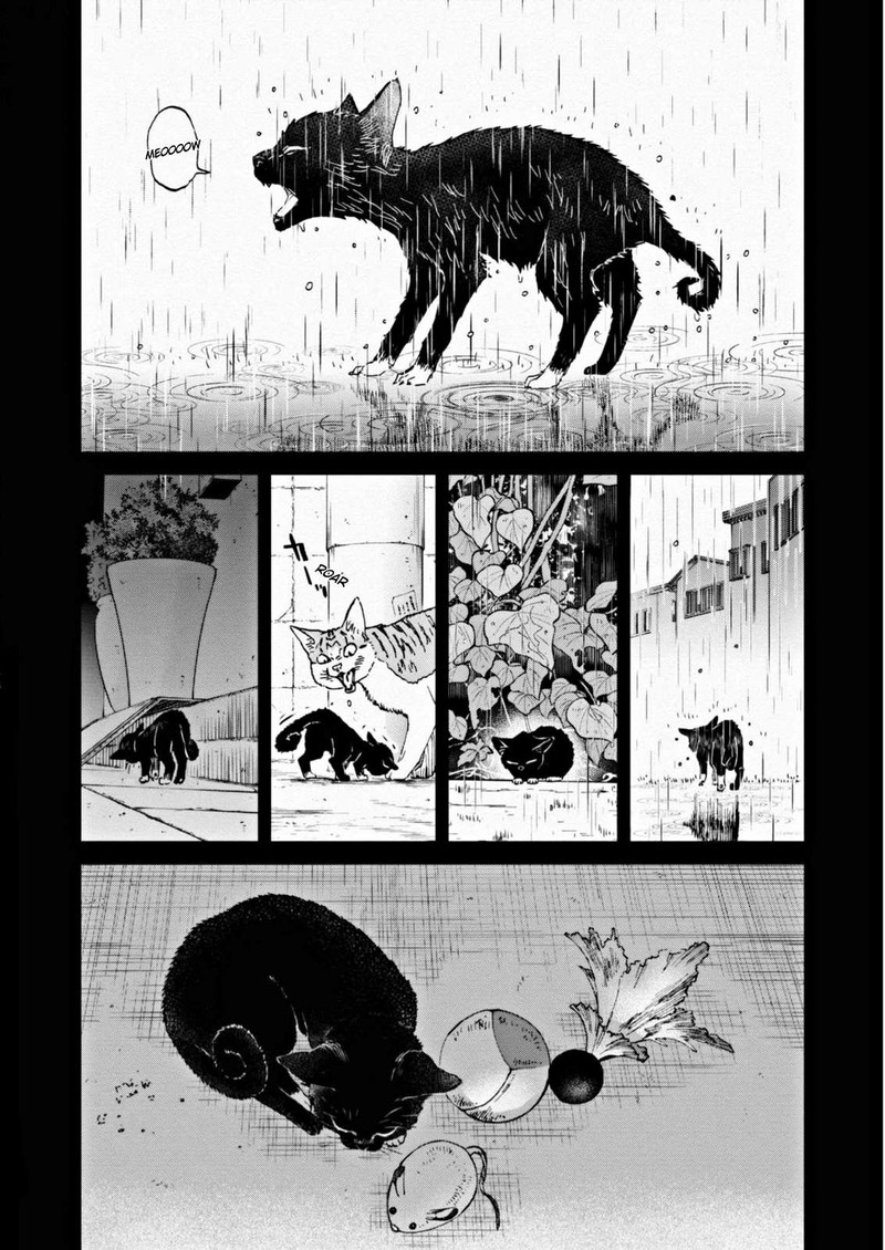 Hosomura San To Neko No Otsumami 7 8