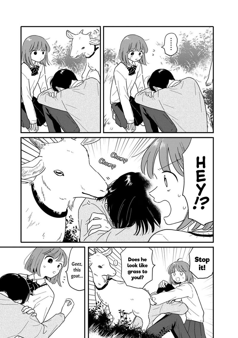 Houkago Kitaku Biyori 17 17