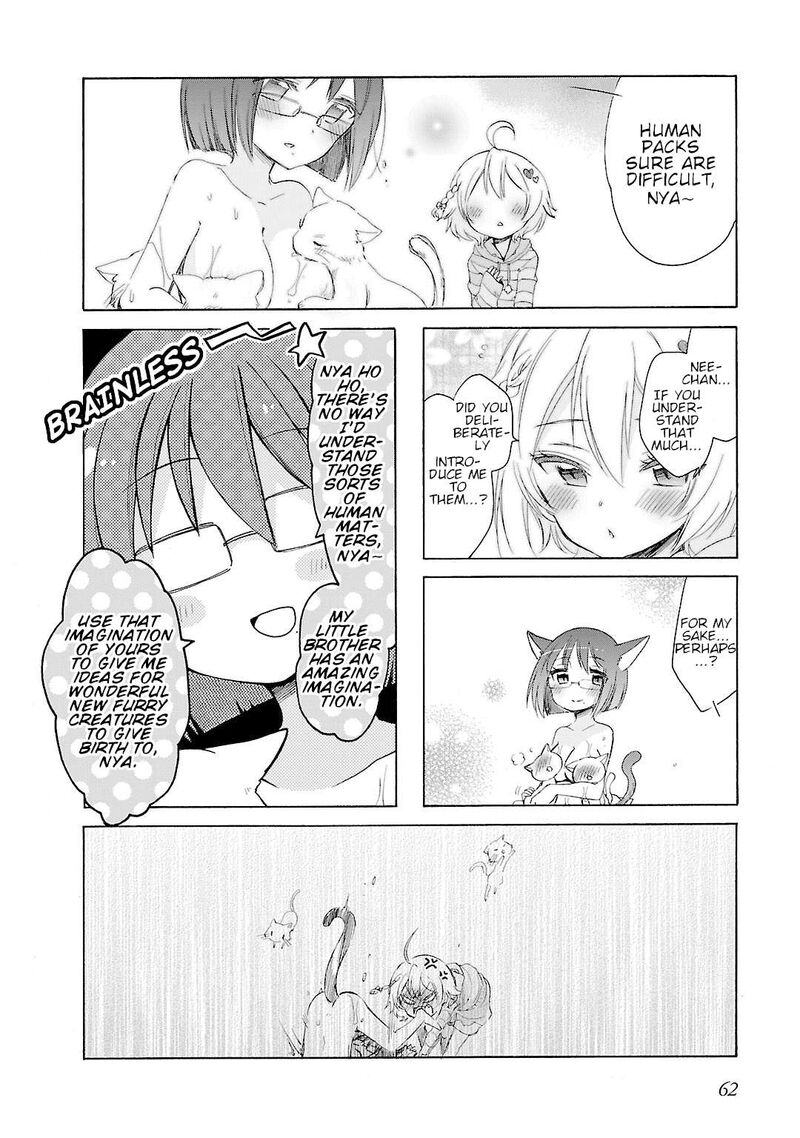 Hshs Sasero 17 8