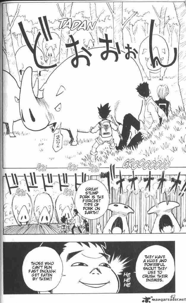 Hunter X Hunter 10 17