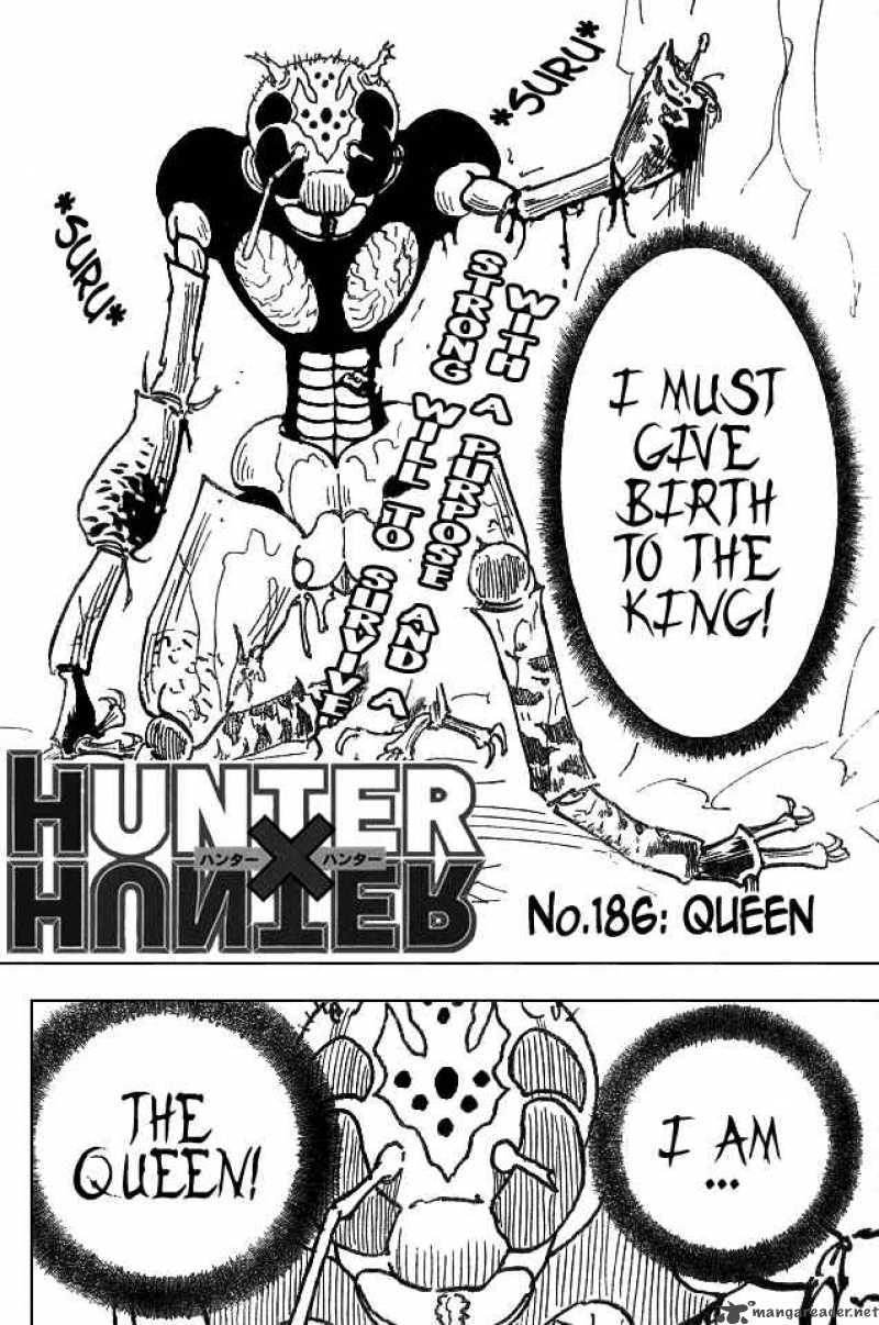 Hunter X Hunter 186 2