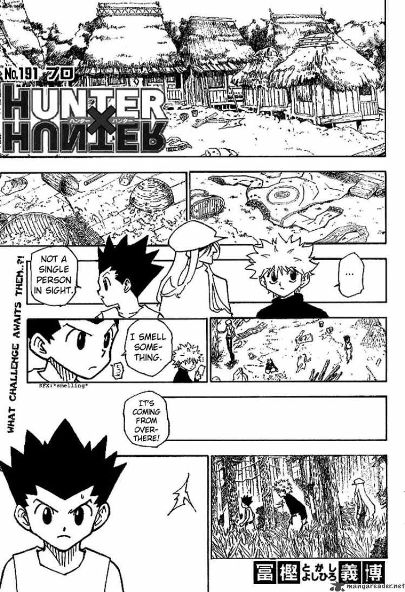 Hunter X Hunter 191 2