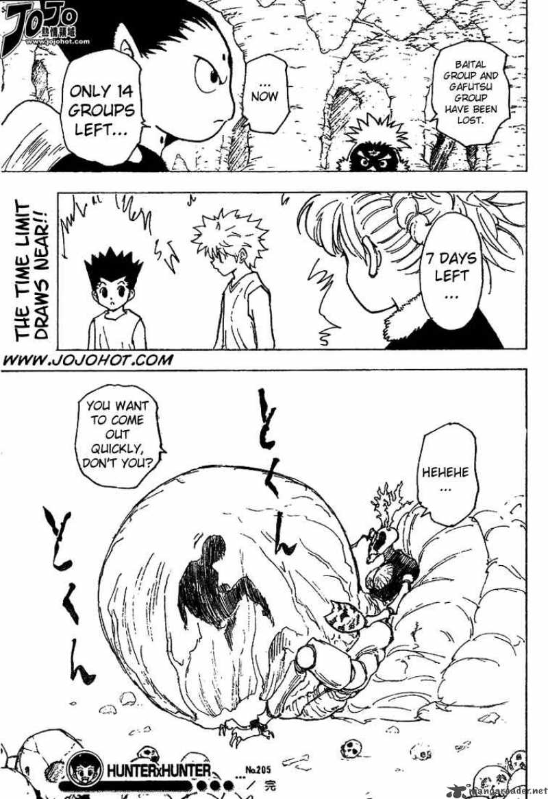 Hunter X Hunter 205 16