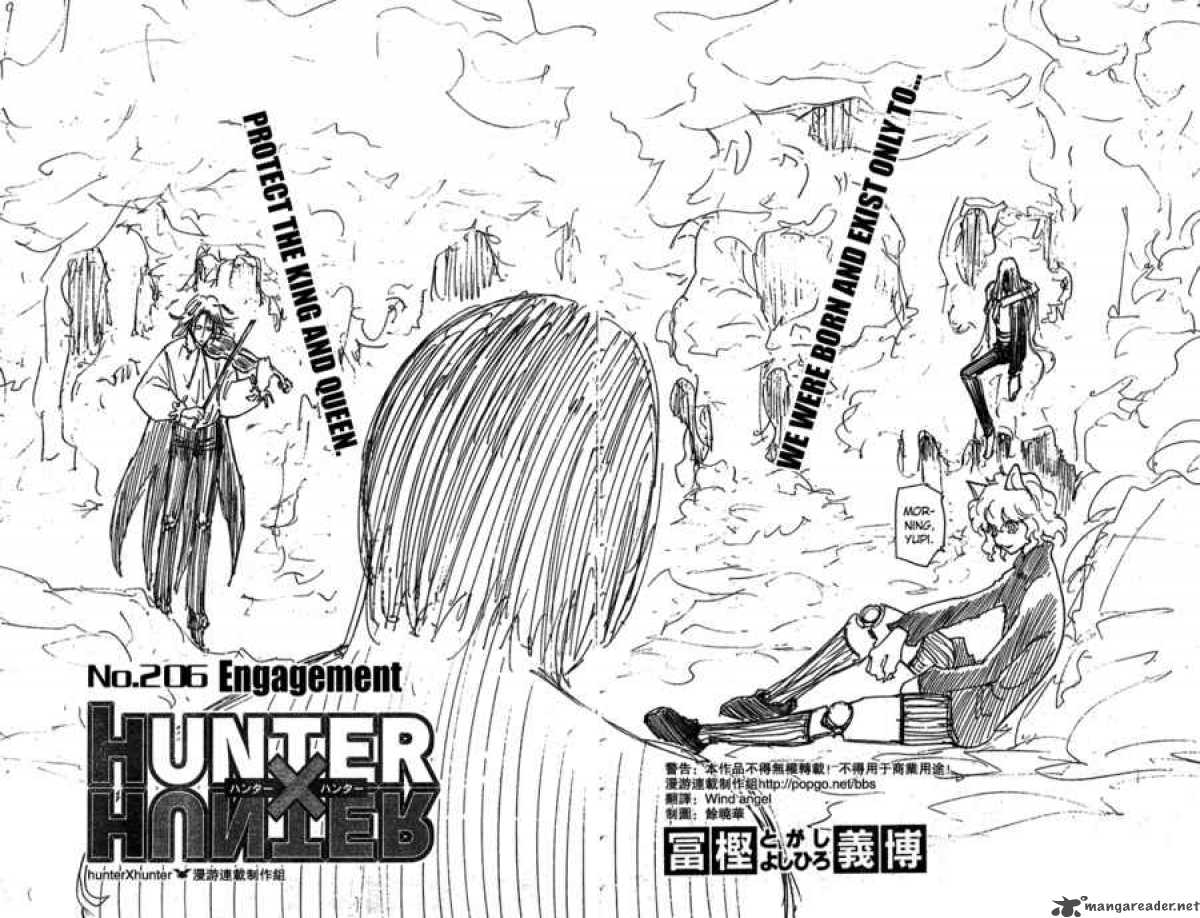 Hunter X Hunter 206 5