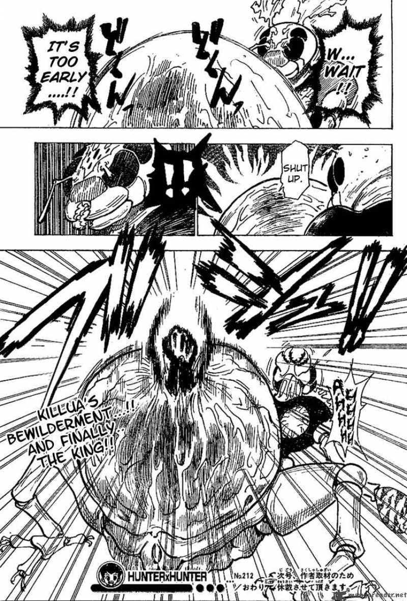 Hunter X Hunter 212 17