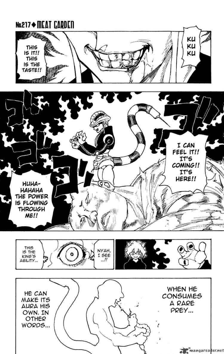 Hunter X Hunter 217 1