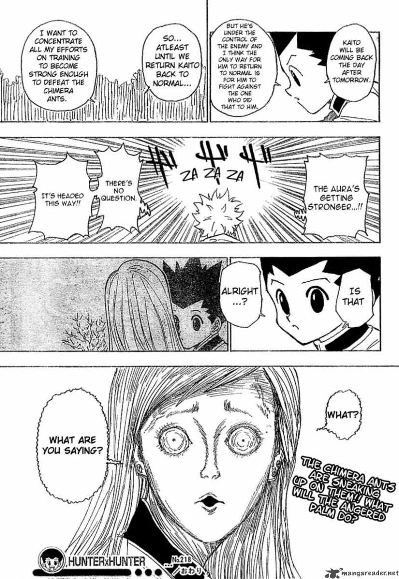 Hunter X Hunter 218 16