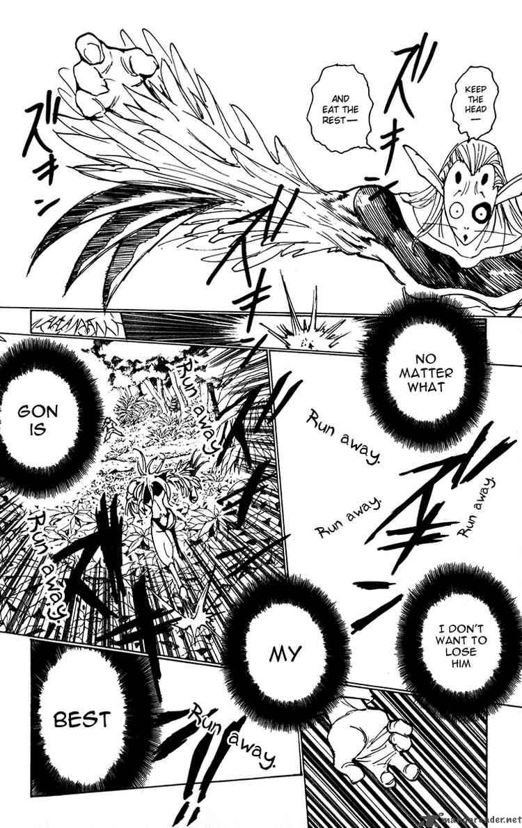 Hunter X Hunter 219 8