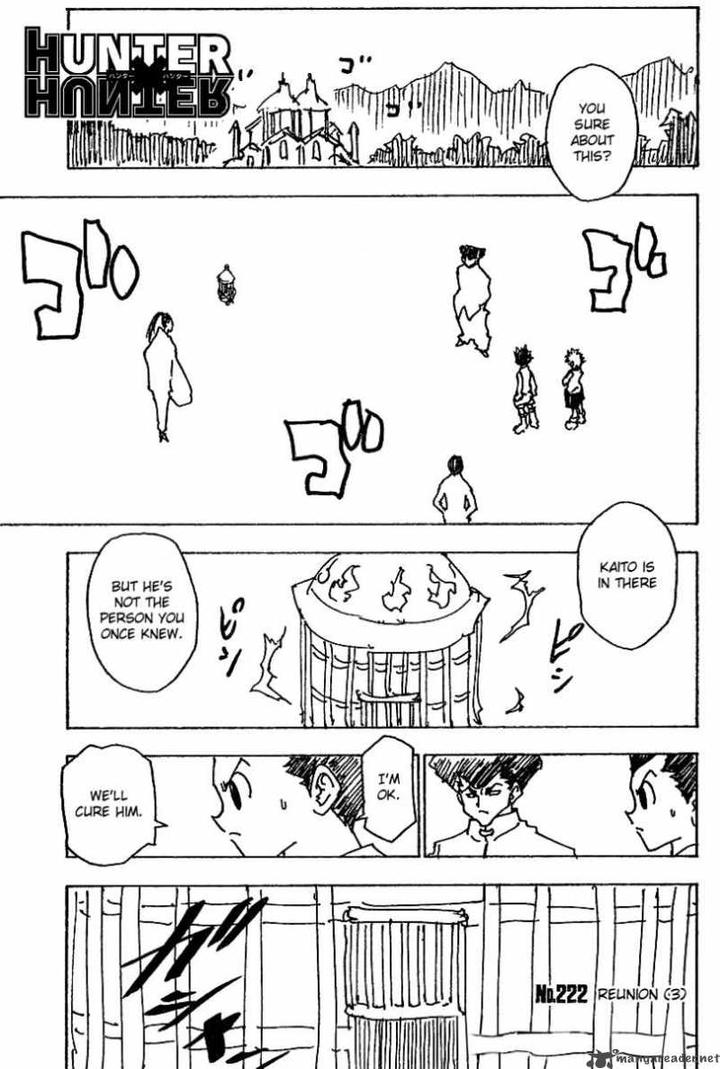 Hunter X Hunter 222 1