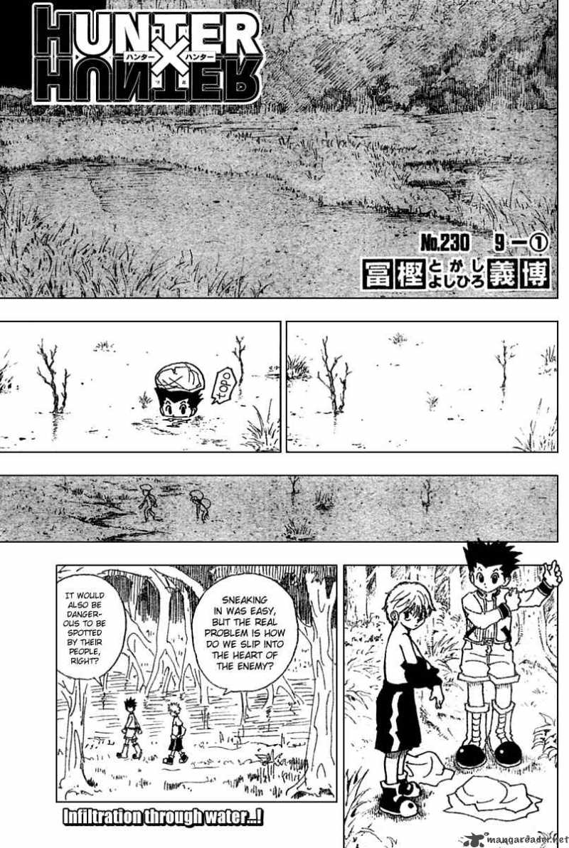 Hunter X Hunter 230 1
