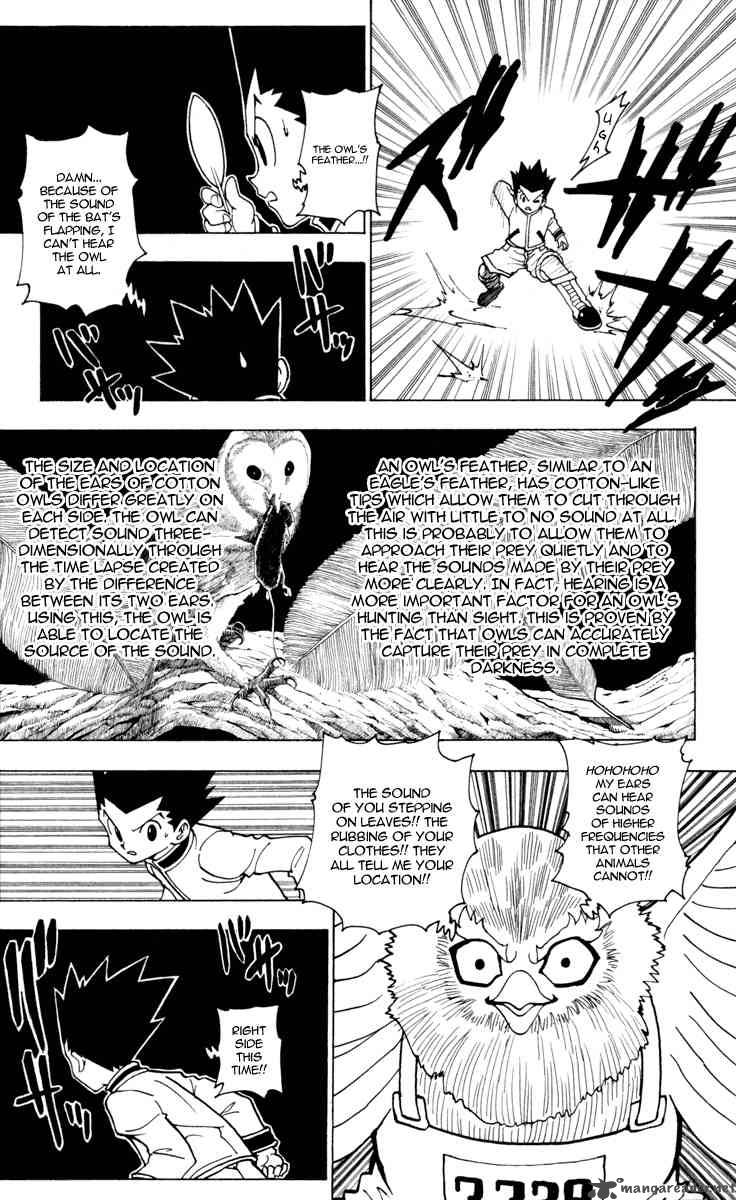 Hunter X Hunter 232 3
