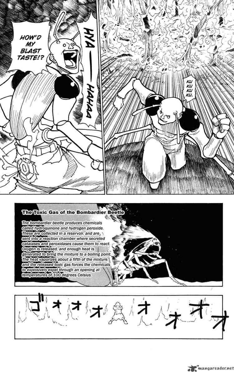 Hunter X Hunter 236 11