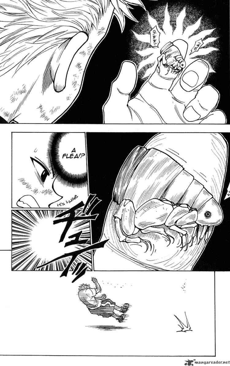 Hunter X Hunter 236 14