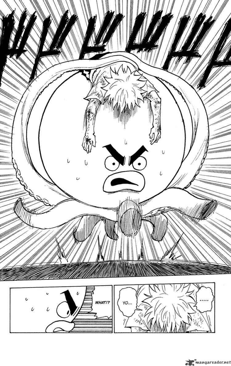 Hunter X Hunter 241 8