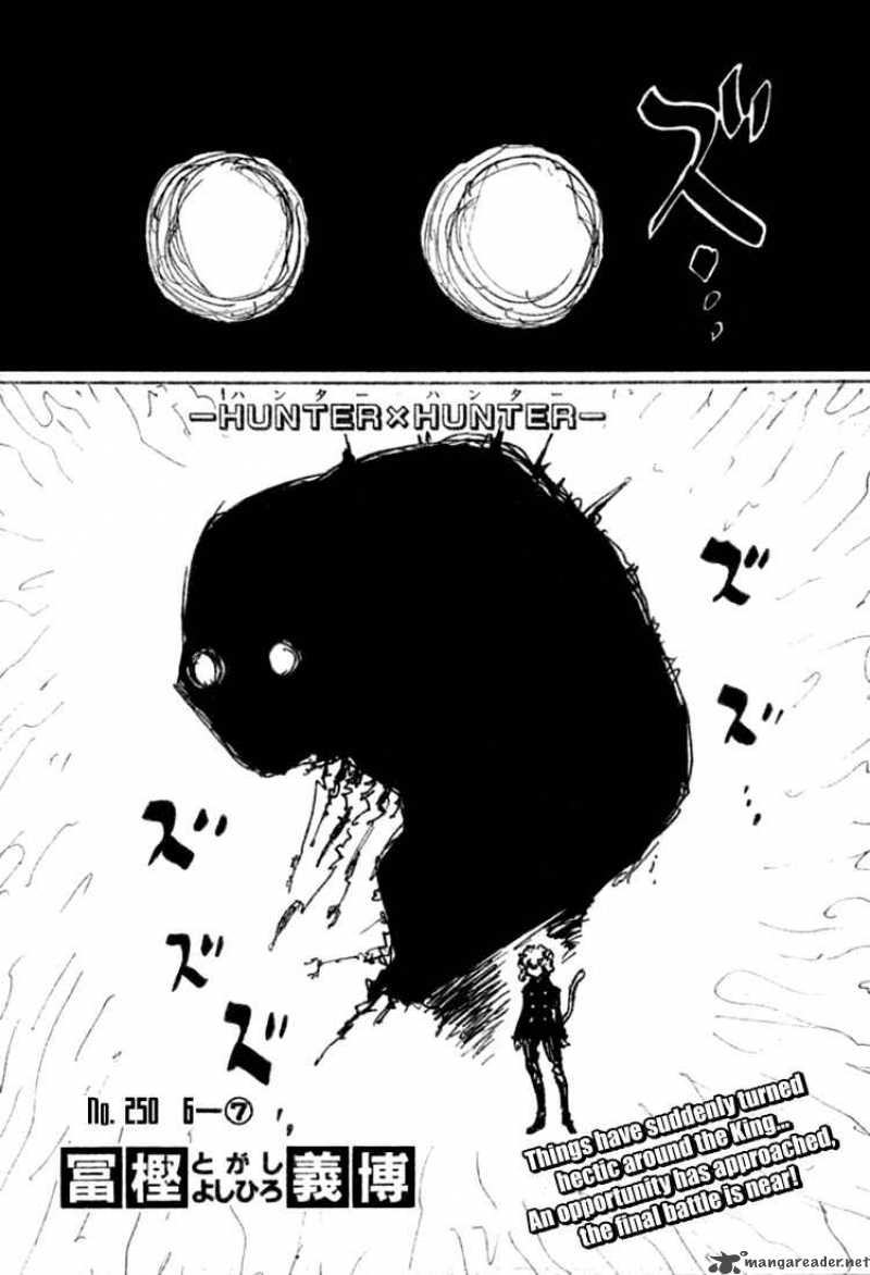 Hunter X Hunter 250 1