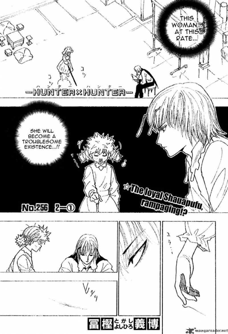 Hunter X Hunter 256 1