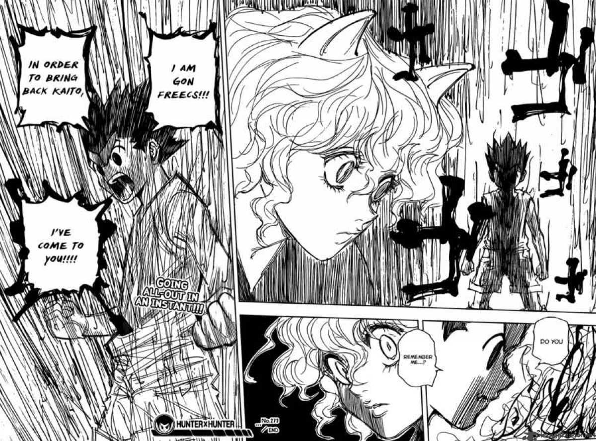 Hunter X Hunter 273 18
