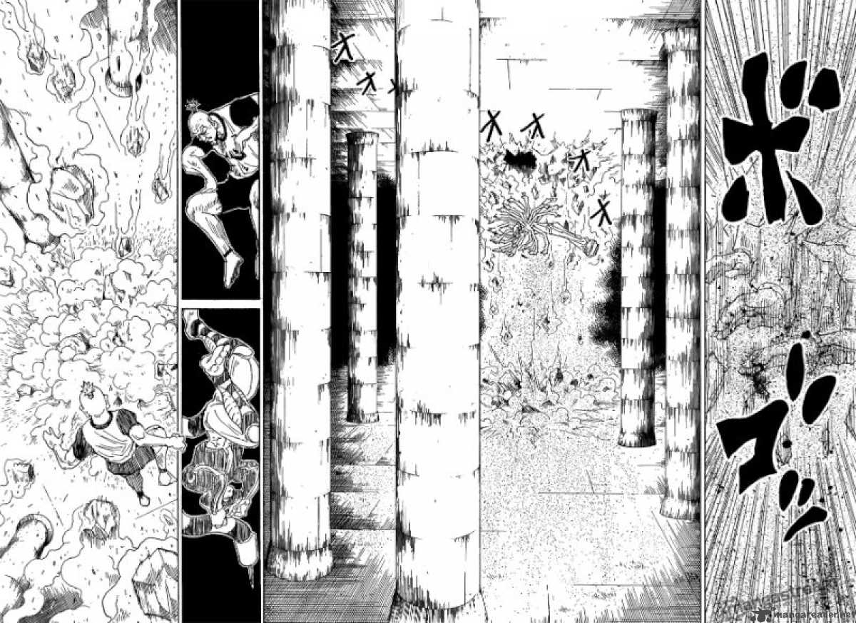 Hunter X Hunter 291 14