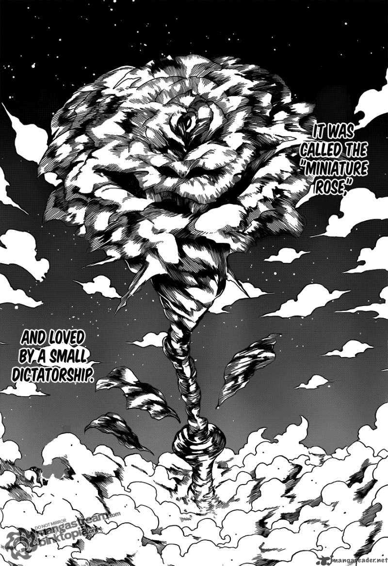 Hunter X Hunter 298 8