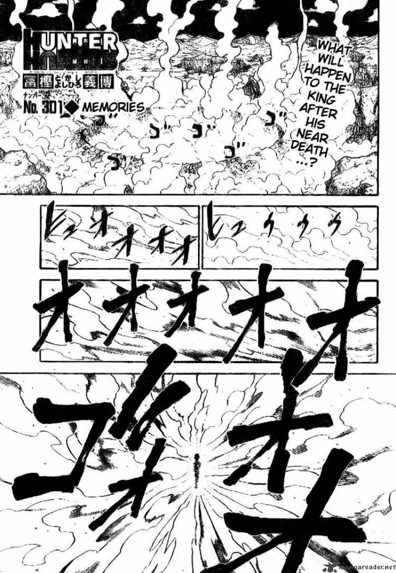 Hunter X Hunter 301 1