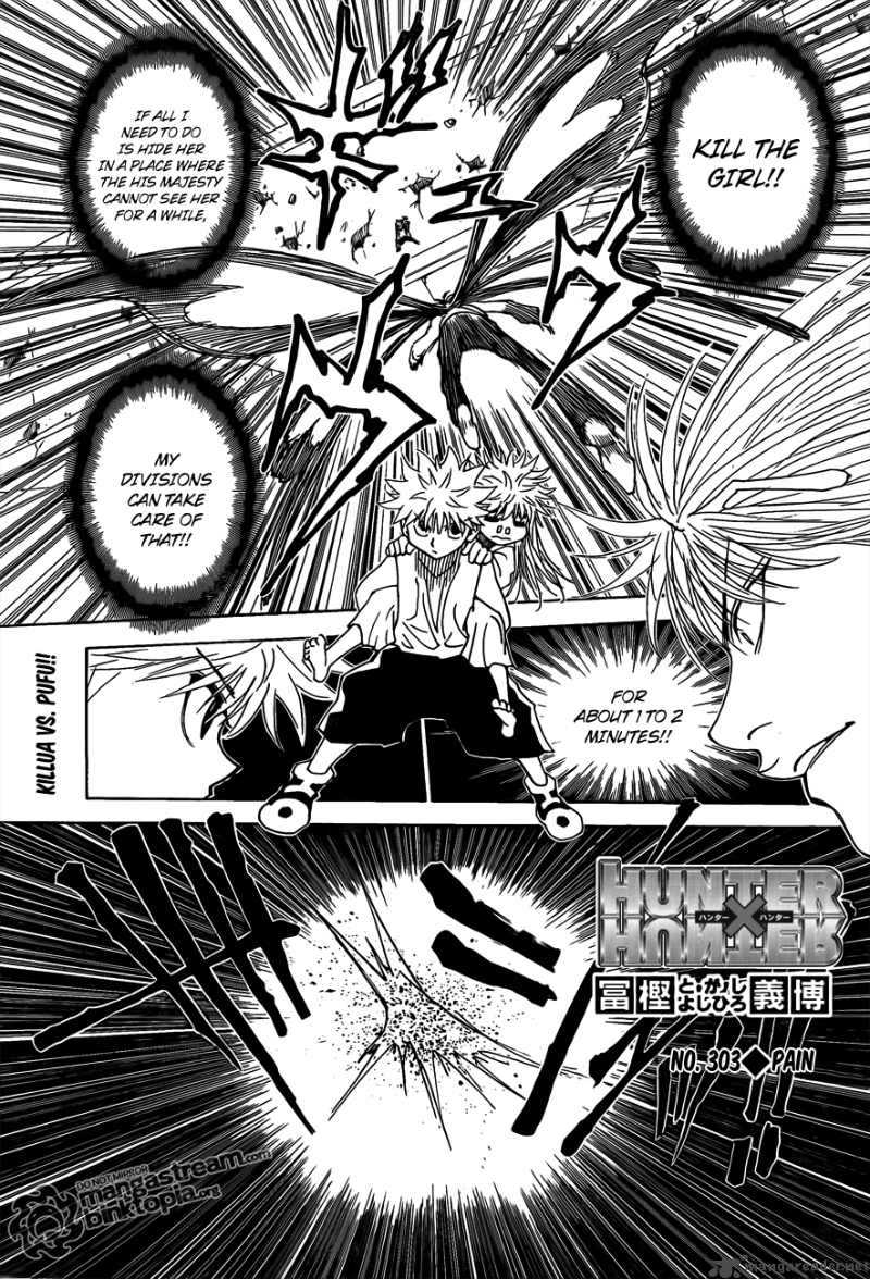 Hunter X Hunter 303 1
