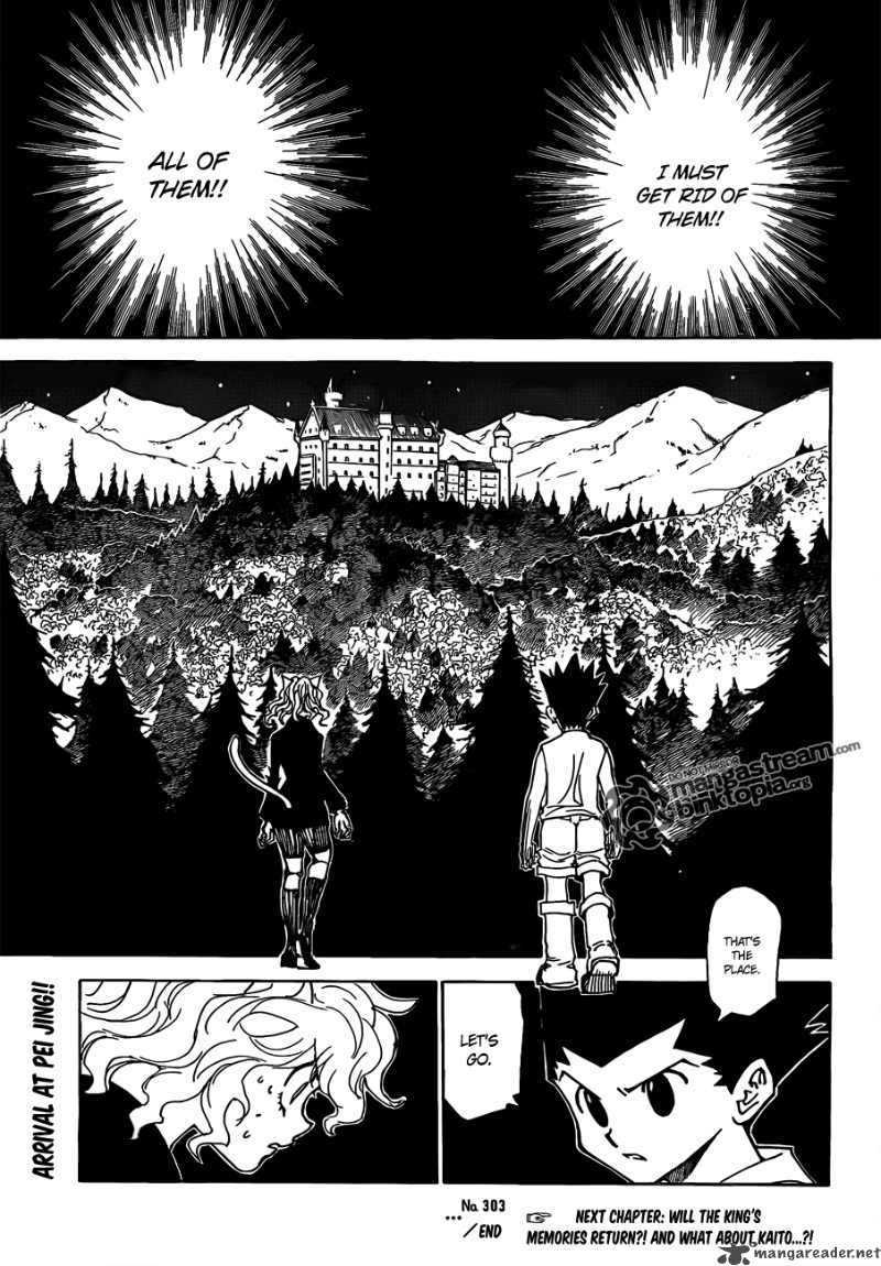 Hunter X Hunter 303 18