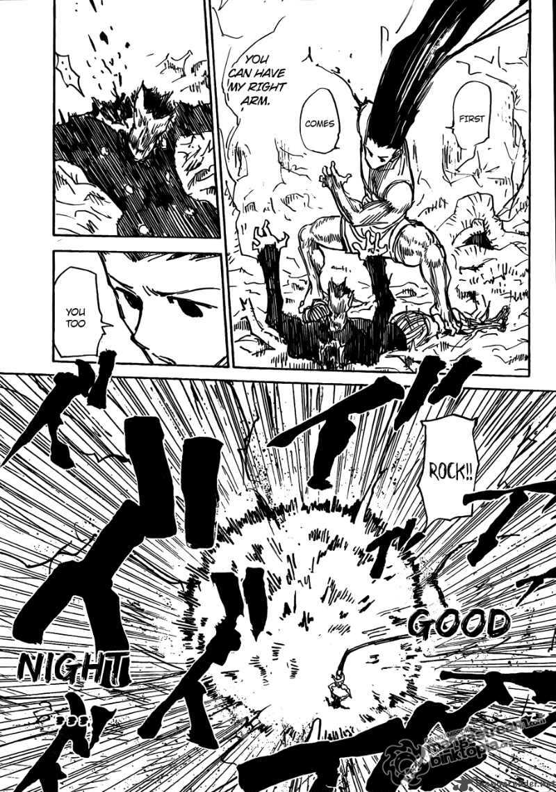 Hunter X Hunter 307 15