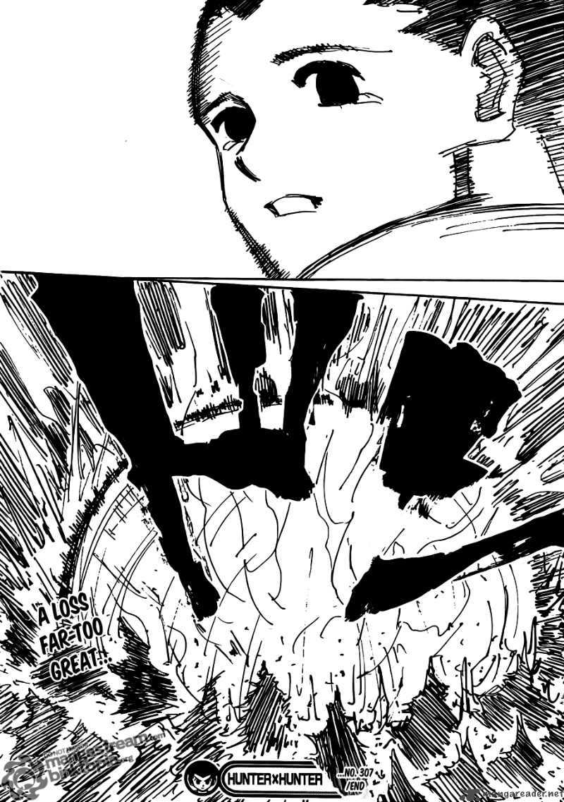 Hunter X Hunter 307 17