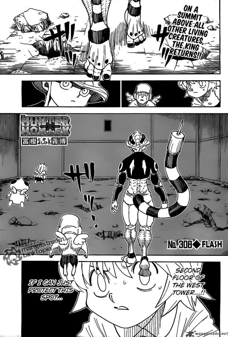 Hunter X Hunter 308 1