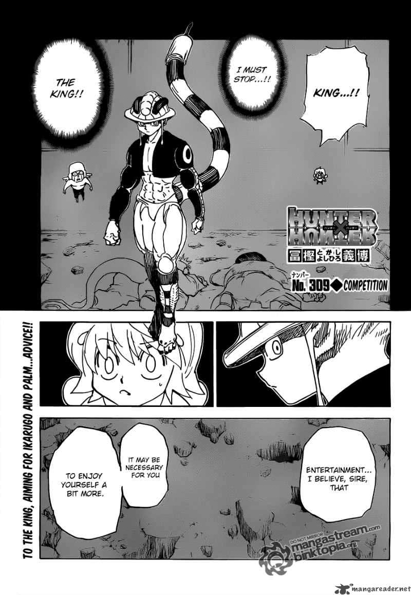 Hunter X Hunter 309 1