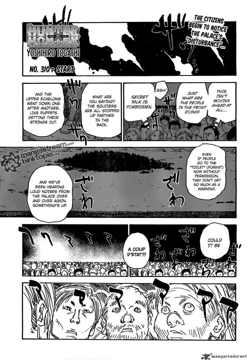 Hunter X Hunter 310 1