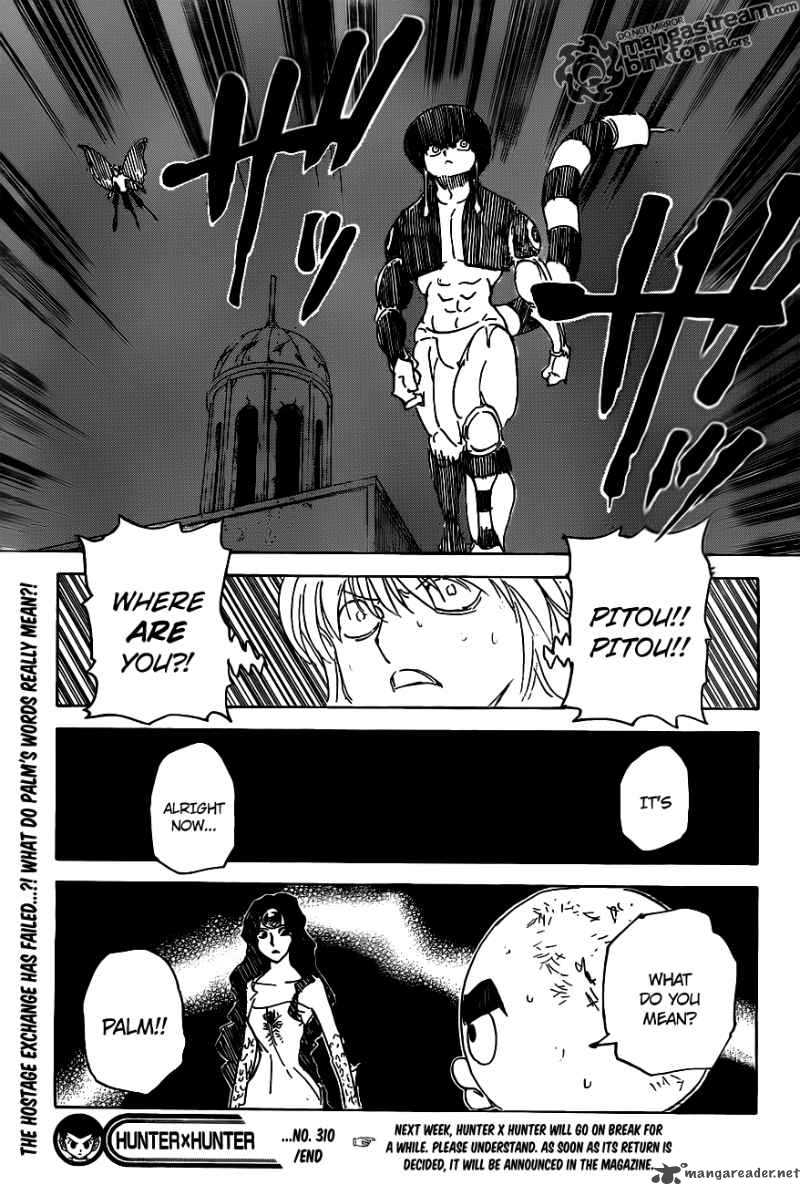 Hunter X Hunter 310 19
