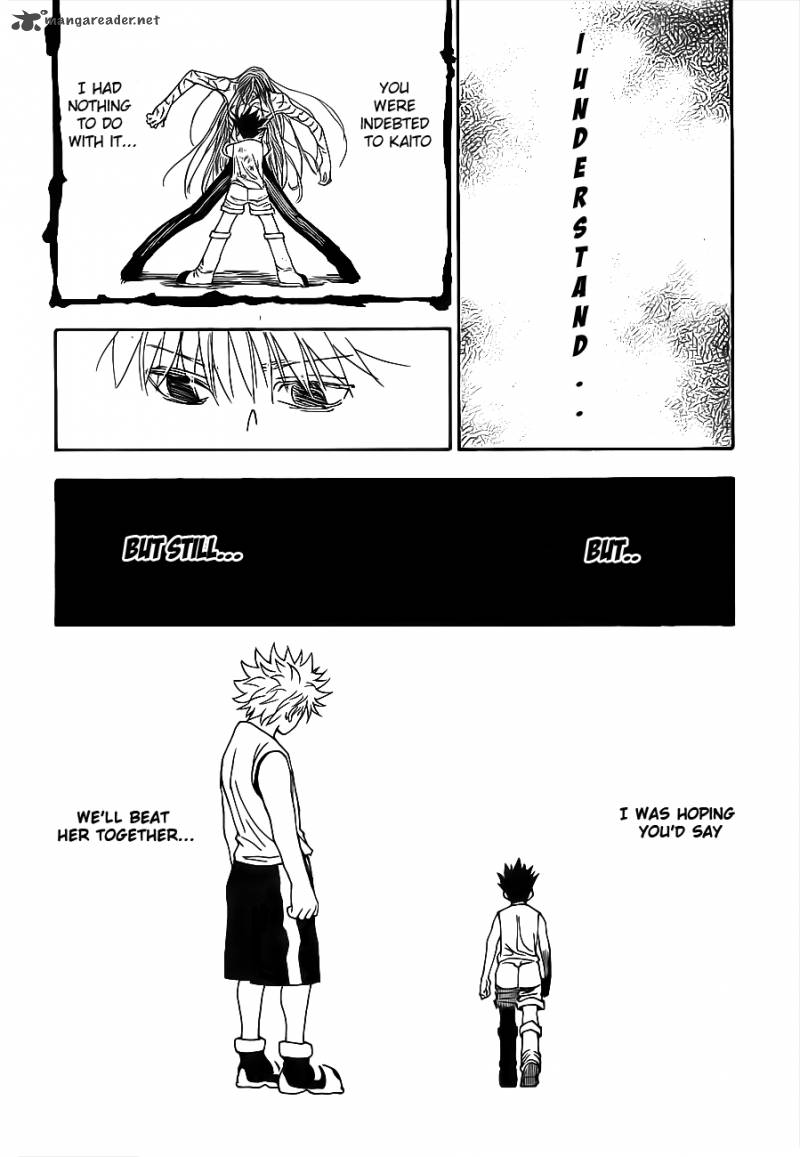 Hunter X Hunter 316 10