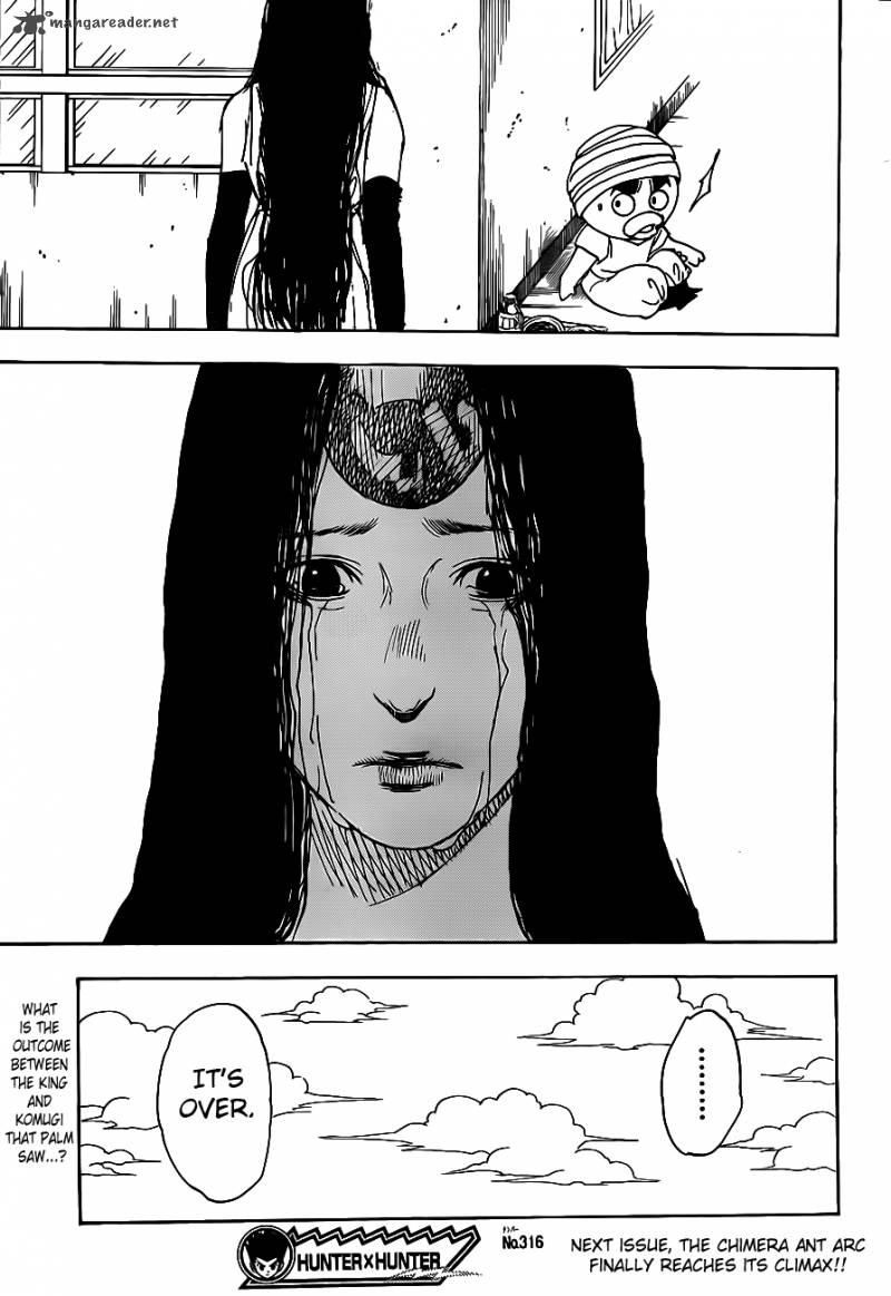 Hunter X Hunter 316 19