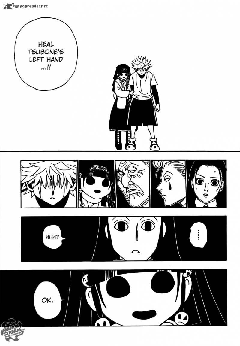 Hunter X Hunter 330 10