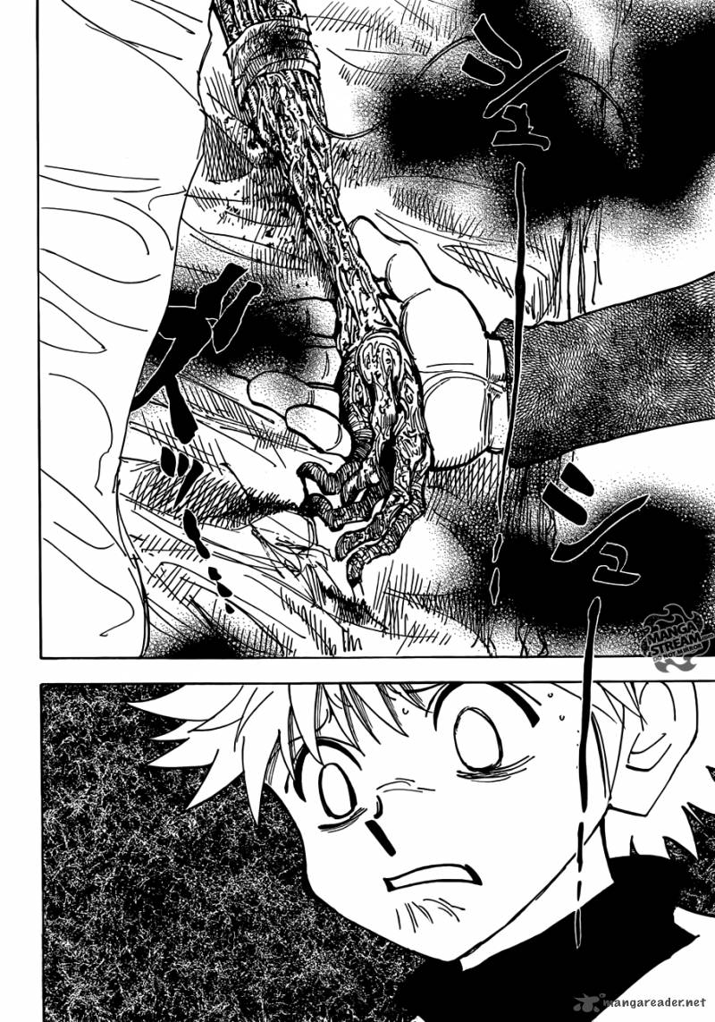 Hunter X Hunter 333 10