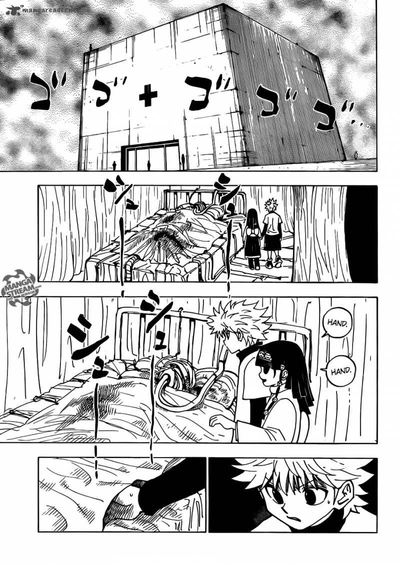 Hunter X Hunter 333 9