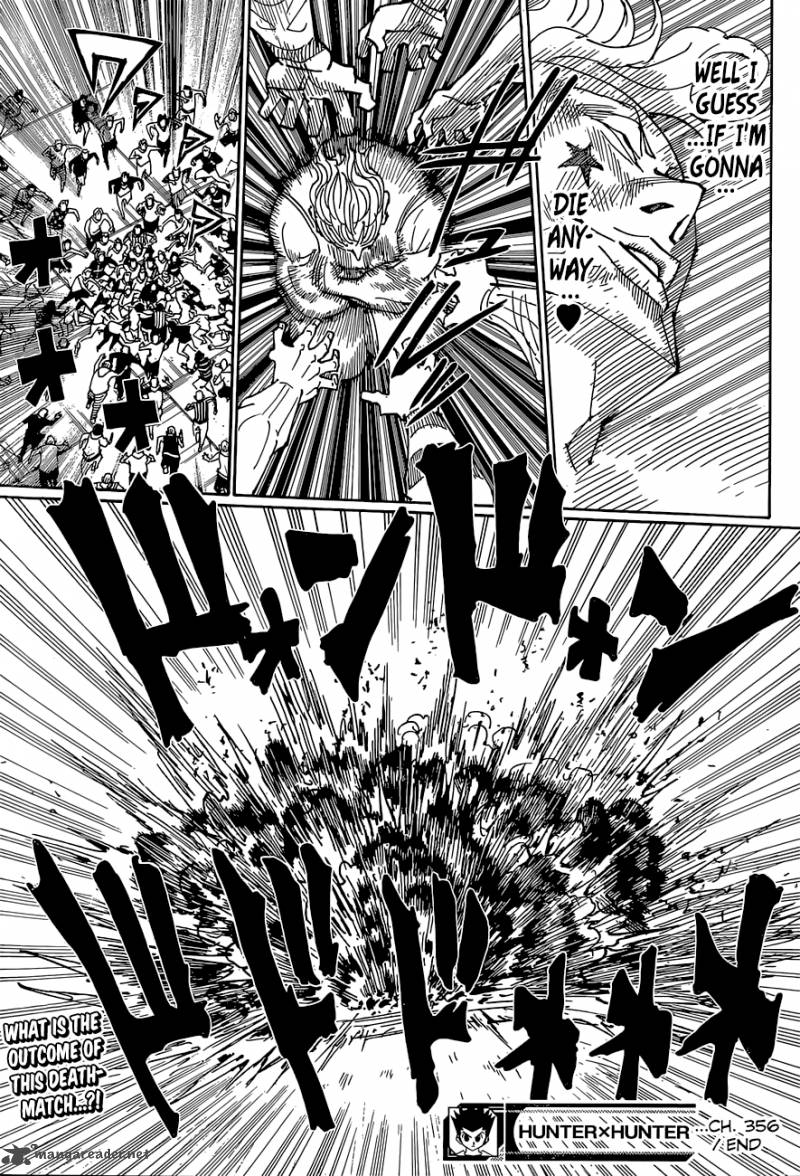 Hunter X Hunter 356 19