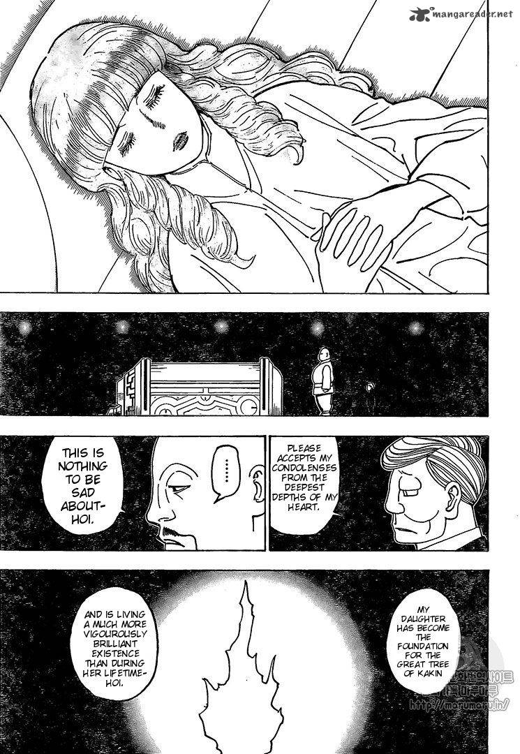 Hunter X Hunter 371 16