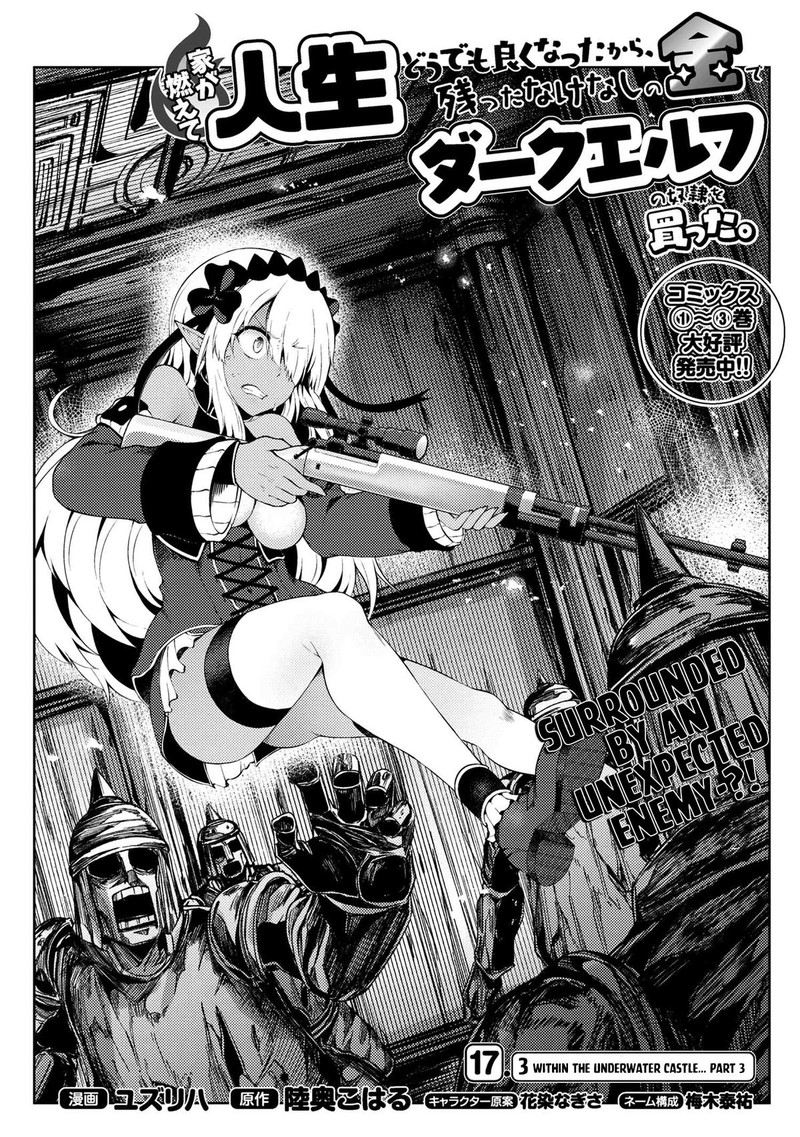 Ie Ga Moete Jinsei Dou Demo Yoku Natta Kara Nokotta Nakenashi No Kin De Dark Elf No Dorei O Katta 17c 1