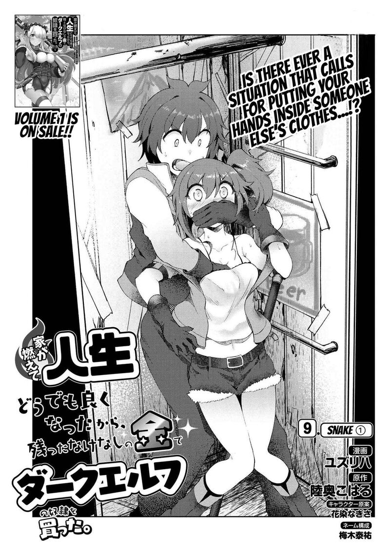 Ie Ga Moete Jinsei Dou Demo Yoku Natta Kara Nokotta Nakenashi No Kin De Dark Elf No Dorei O Katta 9a 2