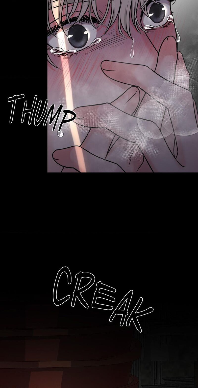Illusion 5 11