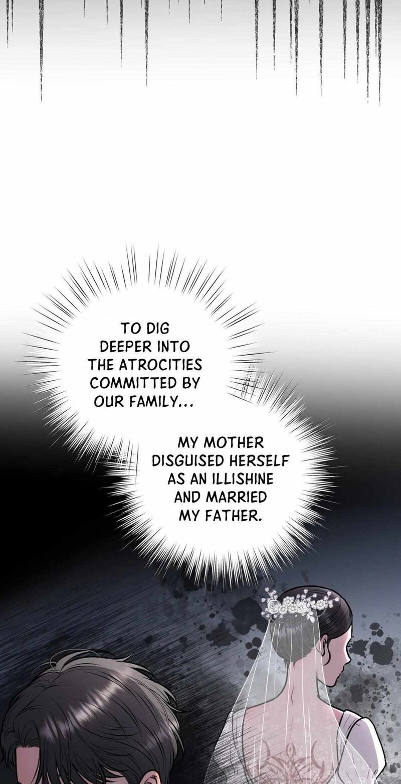 Illusion 6 12