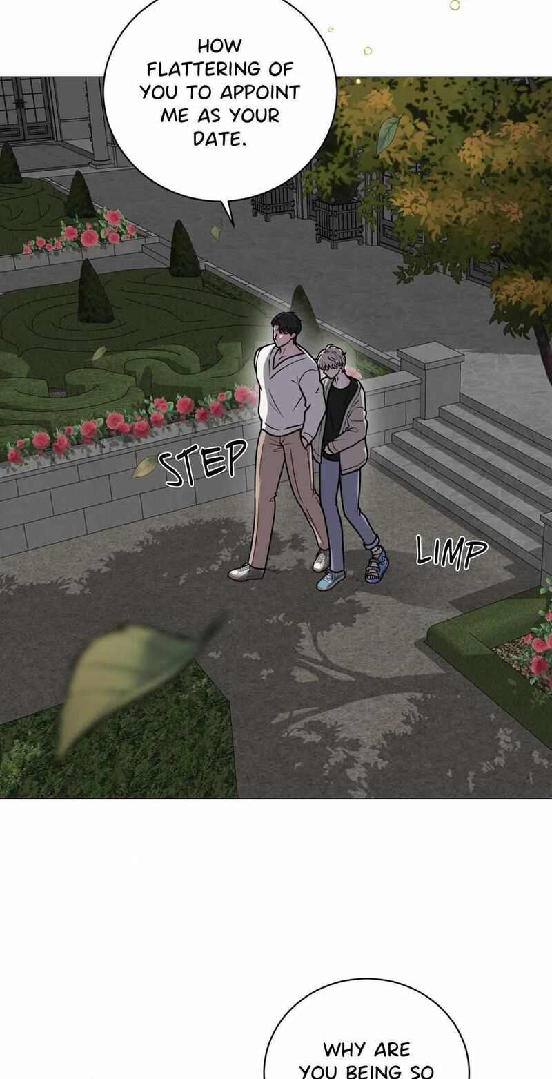 Illusion 6 65