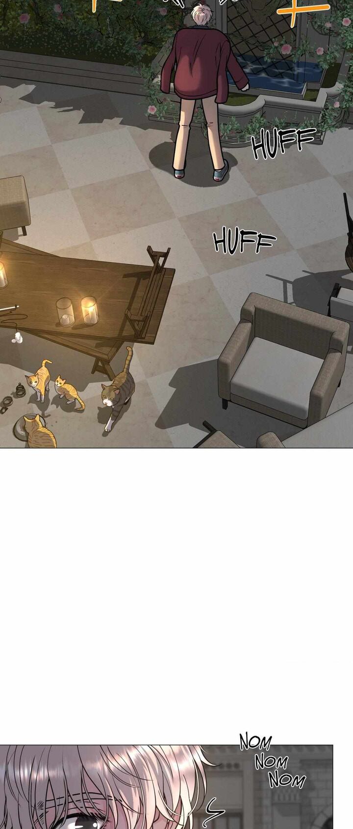 Illusion 8 19
