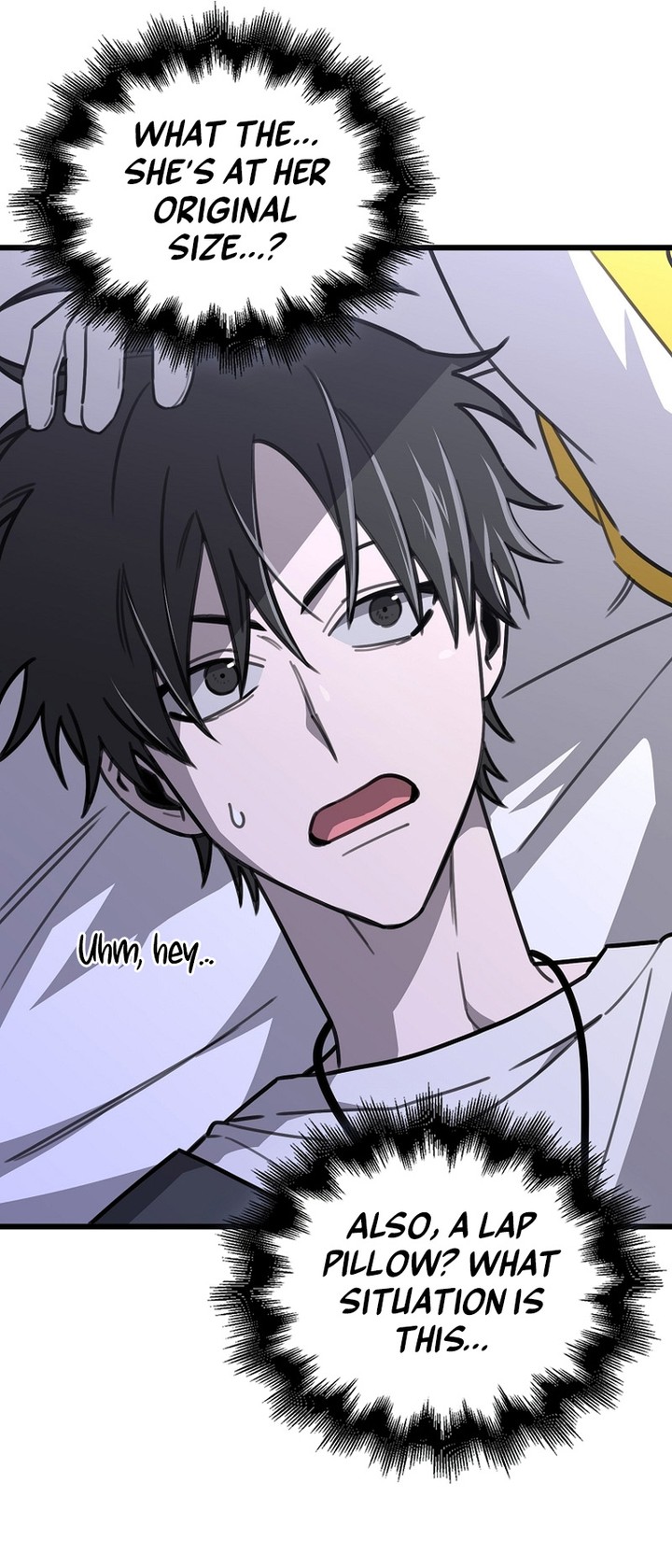 Im Not A Regressor 11 7