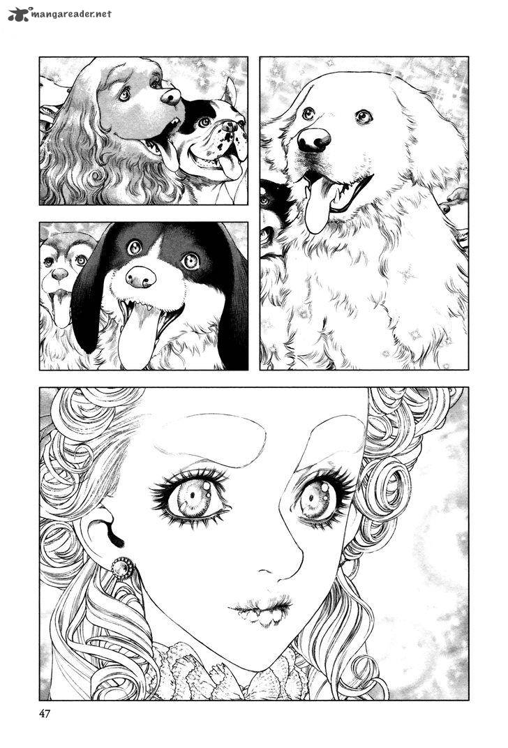 Innocent Rouge 15 9